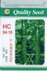 供应HC04—10—黄瓜种子