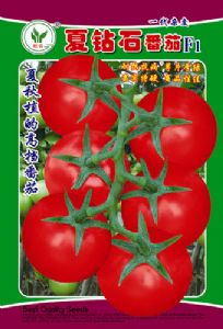 供应夏钻石—番茄种子