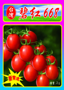 碧红668－－番茄种子