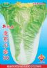 供应新抗病北京小杂56-白菜种子