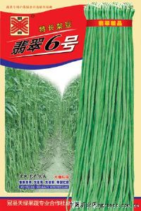 供应翡翠6号—豇豆种子