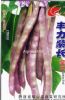 供应丰力紫长架豆秋紫豆108系—菜豆种子