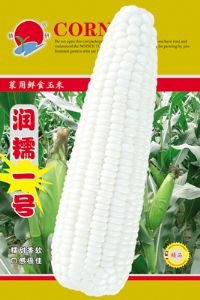供应润糯一号—玉米种子