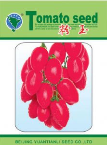 供应粉玉——番茄种子