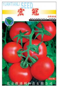 供应宏冠——番茄种子