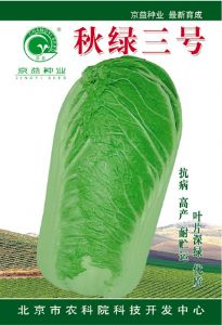 供应秋绿三号——白菜种子