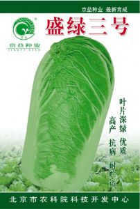 供应盛绿三号——白菜种子