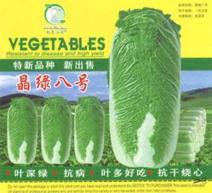 供应晶绿八号—白菜种子