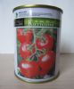 供应卡秋莎-2——番茄种子