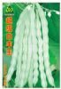 超级白丰王-芸豆种子