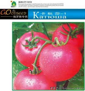 供应卡秋莎-1——番茄种子