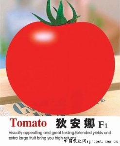 供应狄安娜——番茄种子