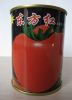 供应东方红——番茄种子