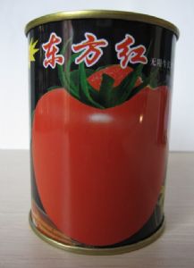 供应东方红——番茄种子