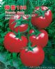 供应精番168——番茄种子