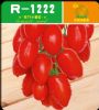 供应R-1222—番茄种子