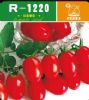 供应R-1220—番茄种子
