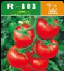 供应R-803—番茄种子