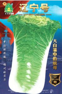 供应辽宁号—白菜种子