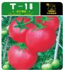 供应T-18—番茄种子