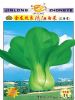 供应金龙改良清江白菜（上海青）—白菜种子