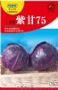 供应亚非紫甘75—甘蓝种子