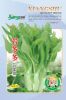供应苔多多白菜苔—菜苔种子