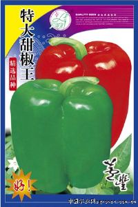 供应特大甜椒王—甜椒种子