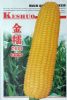供应金糯2000—玉米种子