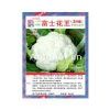 供应富士花王（318）—花椰菜种子