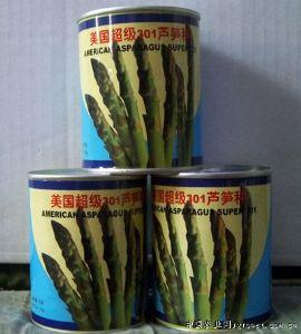 供应美国超级301芦笋种—芦笋种子