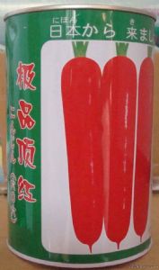 供应极品顶红（六O六）—胡萝卜种子