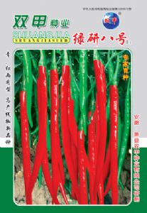 供应绿研八号—辣椒种子