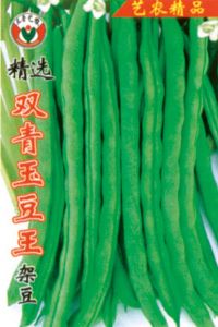 供应精选双青玉豆王架豆-菜豆种子