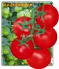 优越番茄——番茄种子
