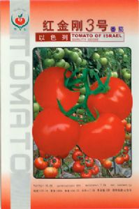 供应红金刚3号—番茄种子