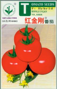 供应红金刚—番茄种子