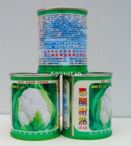 供应泰国耐热A60天（324）—花椰菜种子