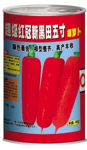 供应超级红冠新黑田五寸胡萝卜—胡萝卜种子