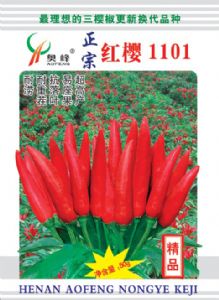 供应红樱1101—朝天椒种子