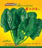 供应星火918F1—菠菜种子