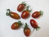 供应紫媚-番茄种子