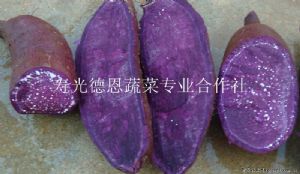 供应紫薯