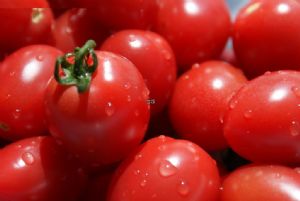 供应优质樱桃番茄