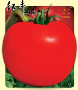 供应红丰二号—番茄种子