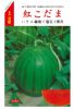 供应红小玉—西瓜种子