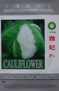 供应台湾雅妃菜花种—花椰菜种子