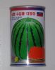 供应韩国娇丽—西瓜种子