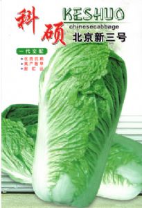 供应北京新三号—白菜种子