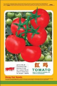 供应红玛—番茄种子